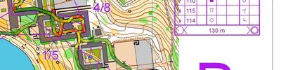 Sprint Qualification