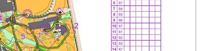 Arrows Sprint Training (Q)