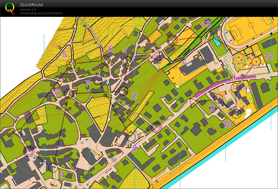 Ripetute Sprint (29-08-2021)